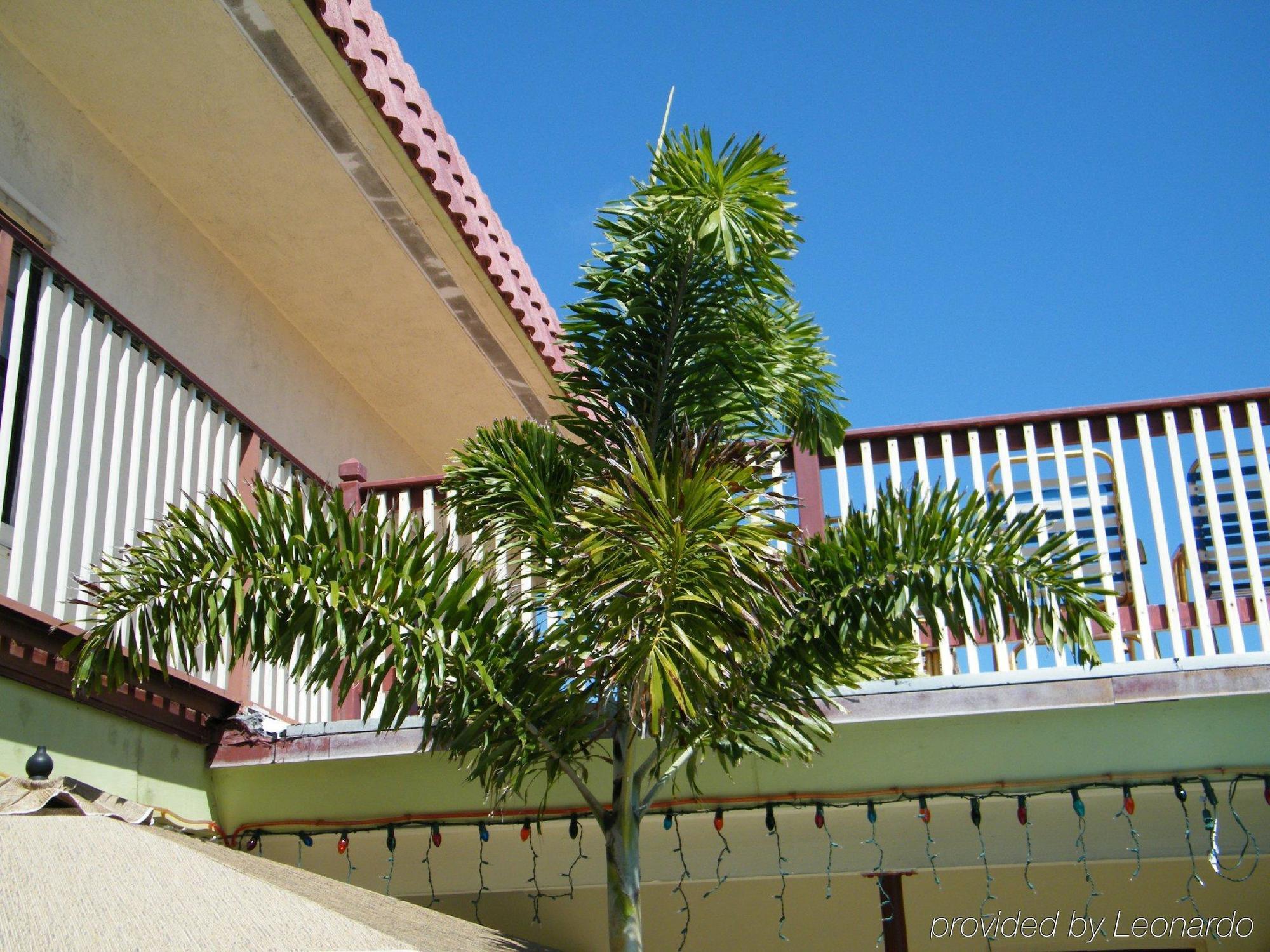 Tropicaire Resort Lauderdale-by-the-Sea Eksteriør billede
